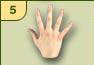 sign for 5